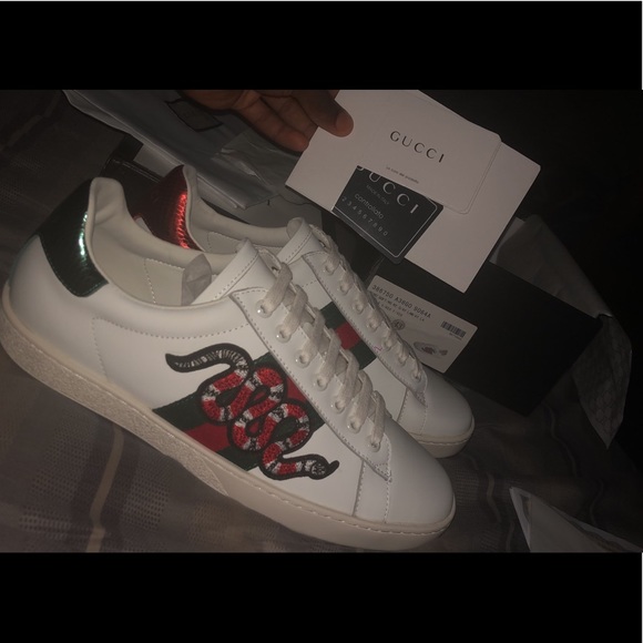 gucci trainers snake